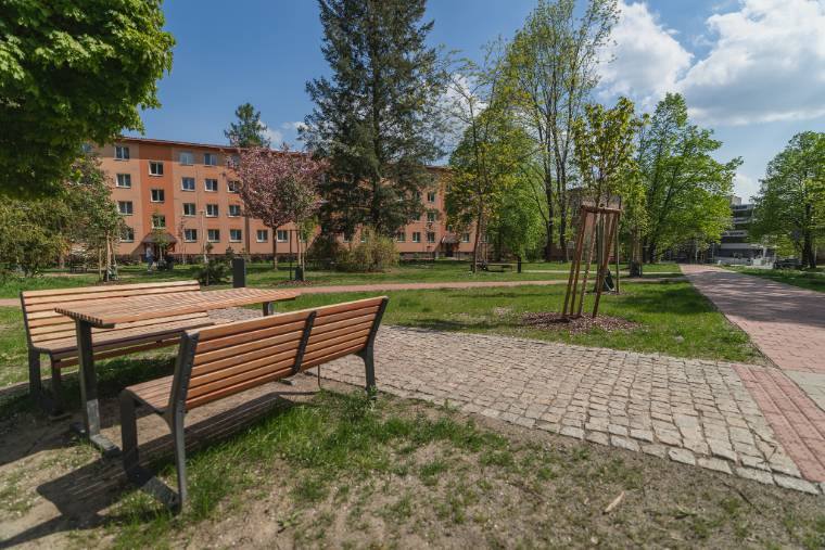 Nový park na náměstí Družby s lavičkami, chodníky a novou výsadbou